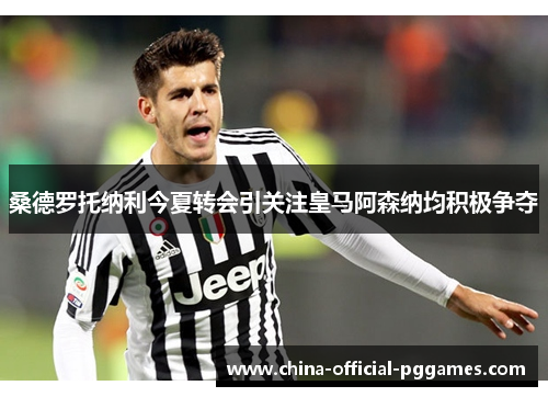 桑德罗托纳利今夏转会引关注皇马阿森纳均积极争夺