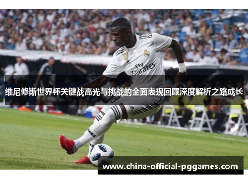 维尼修斯世界杯关键战高光与挑战的全面表现回顾深度解析之路成长